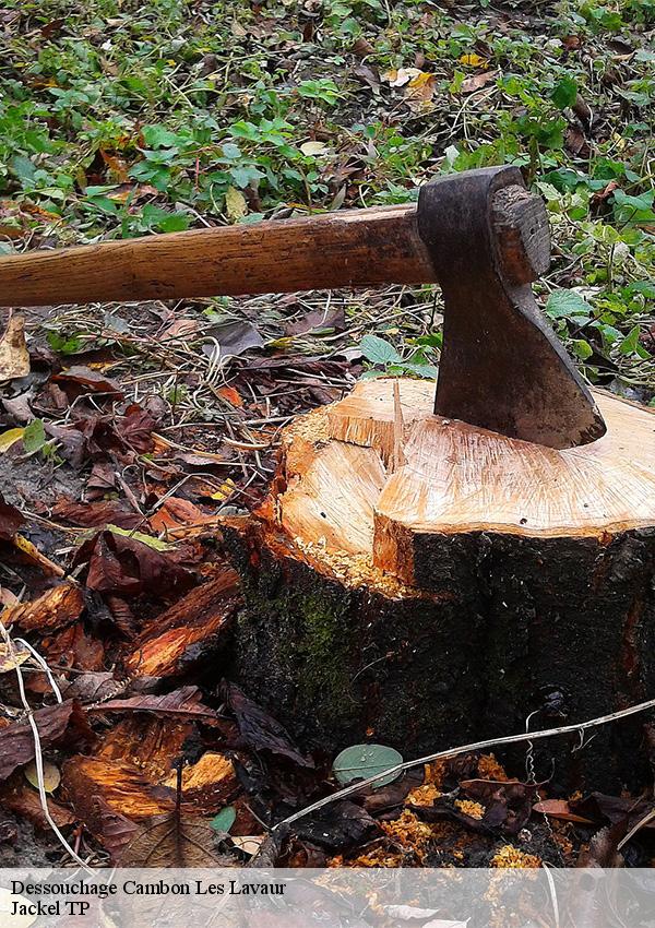 dessouchage-1
