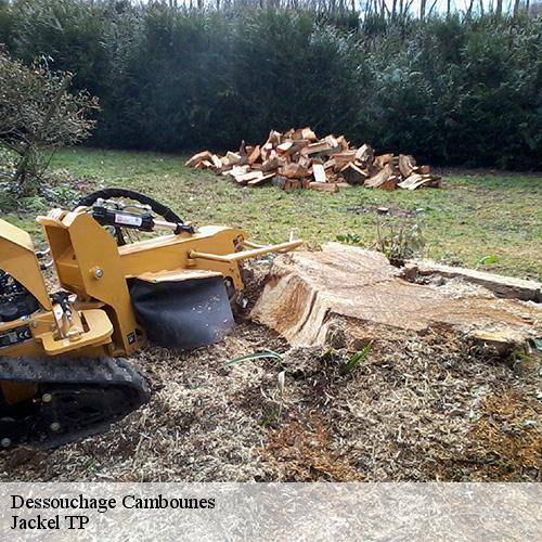 Dessouchage-10