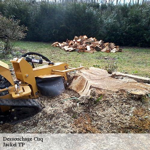 Dessouchage-10