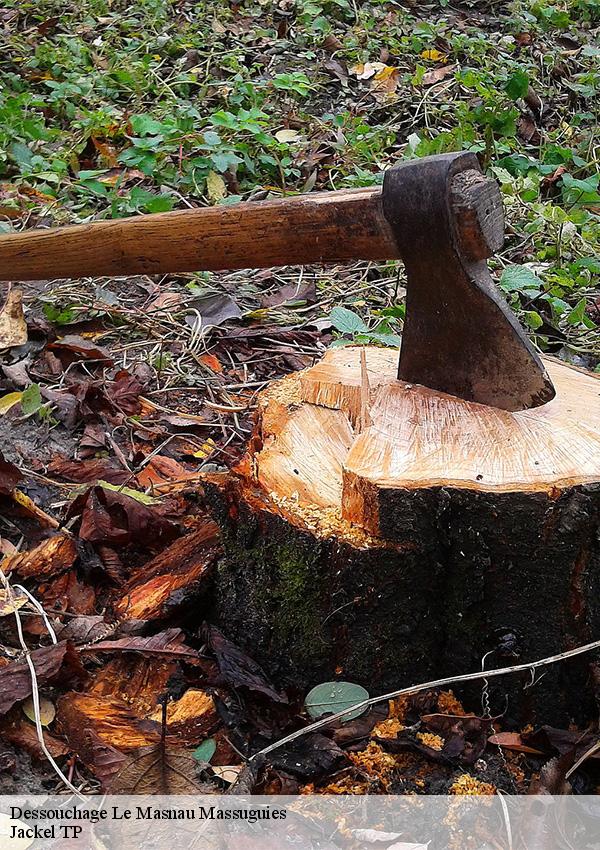 dessouchage-1
