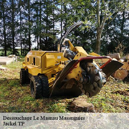 Dessouchage-4