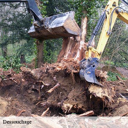 Dessouchage-6