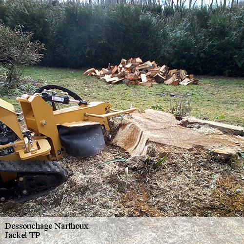 Dessouchage-10