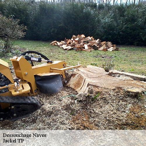 Dessouchage-10