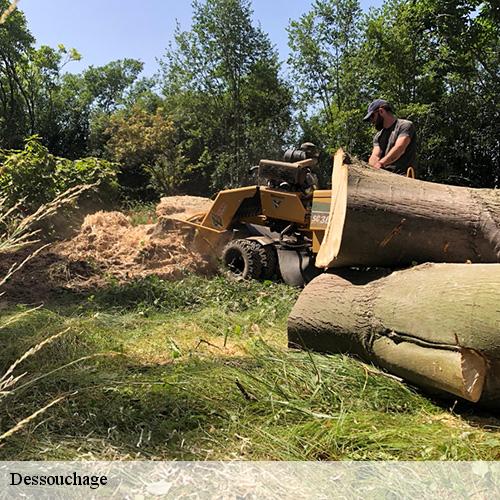 Dessouchage-9