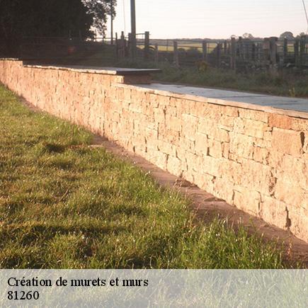 Création de murets et murs-5