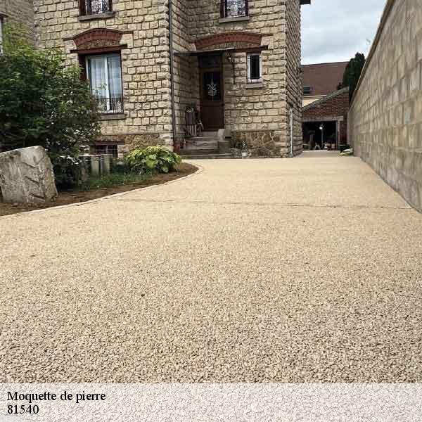 Moquette de pierre-5